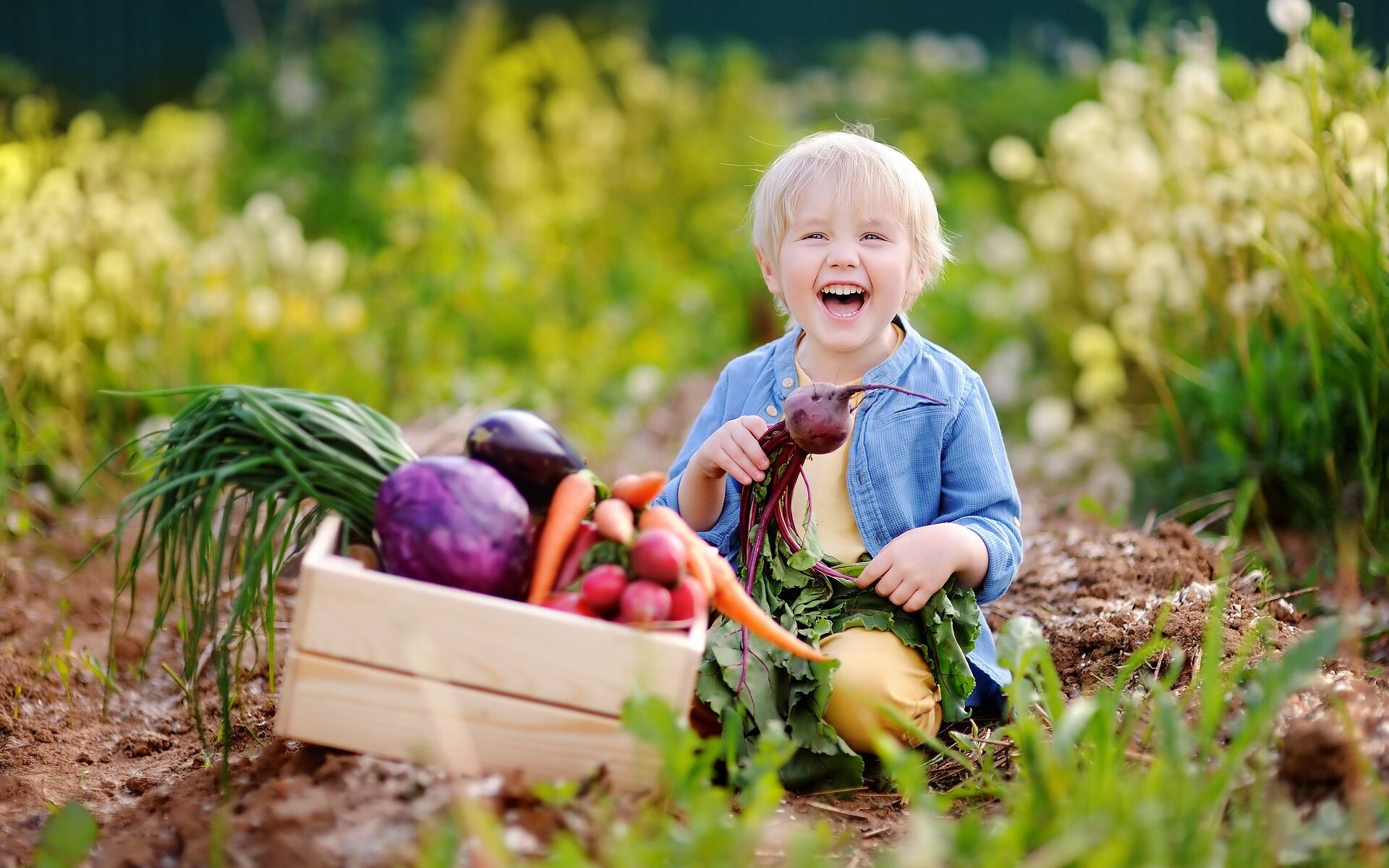 Zaangażuj dziecko do uprawy roślin 12