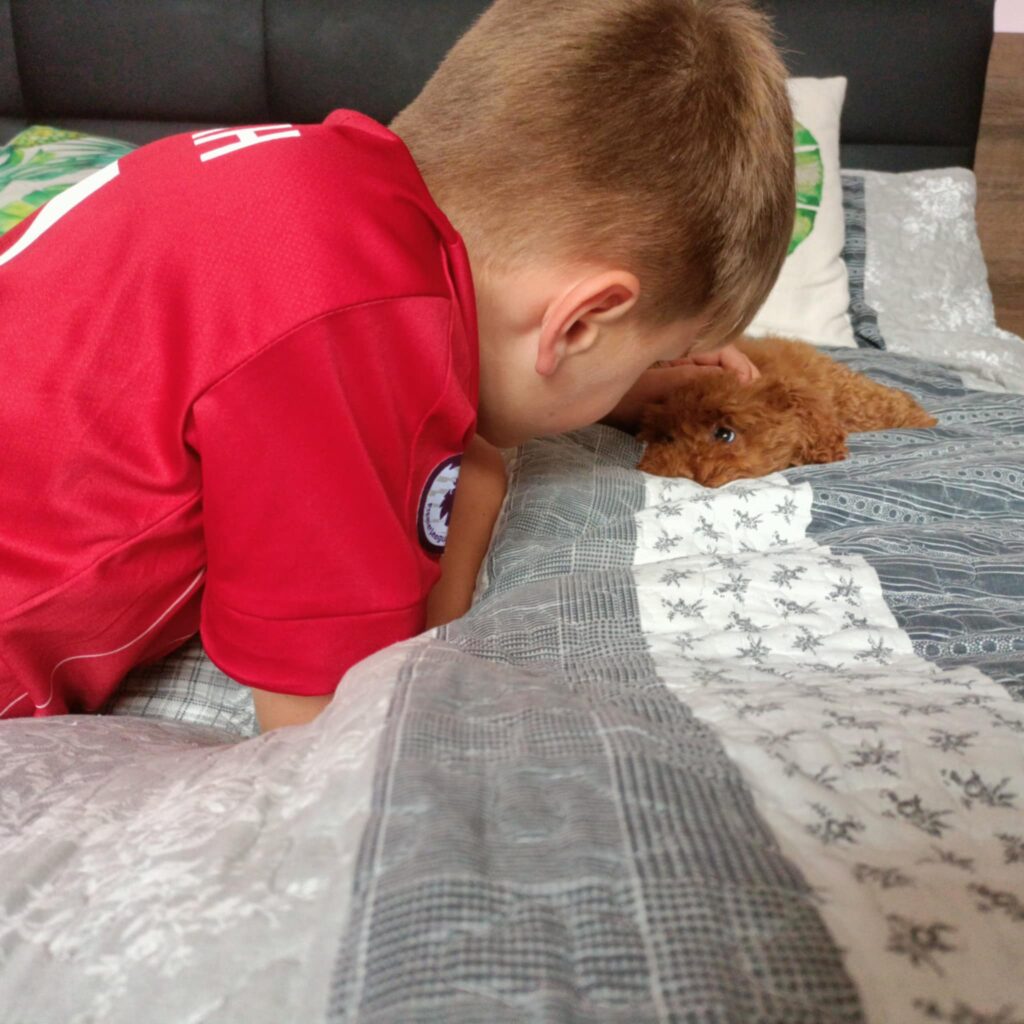 pies w domu z dzieckiem